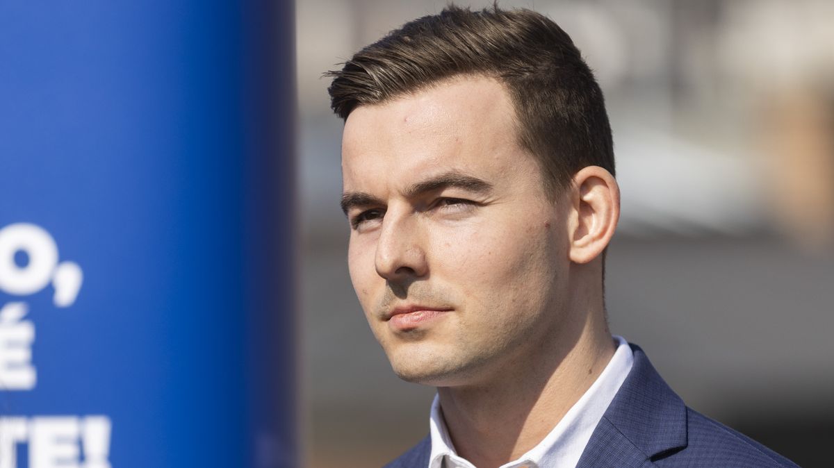 SPD, Svobodní a PRO plánují spolupráci i pro senátní a komunální volby